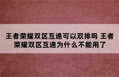 王者荣耀双区互通可以双排吗 王者荣耀双区互通为什么不能用了